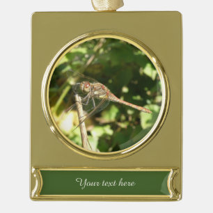Dragonfly on a Twig Custom Ornament