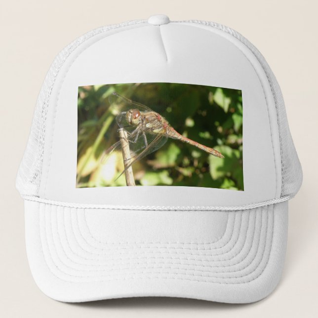 Dragonfly on a Twig Hat (Front)
