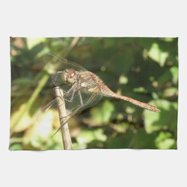 Dragonfly on a Twig Kitchen Towel (Horizontal)