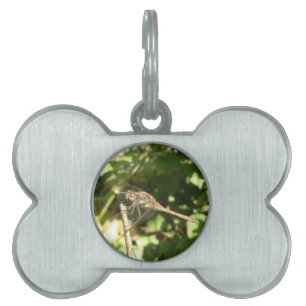 Dragonfly on a Twig Pet Tag
