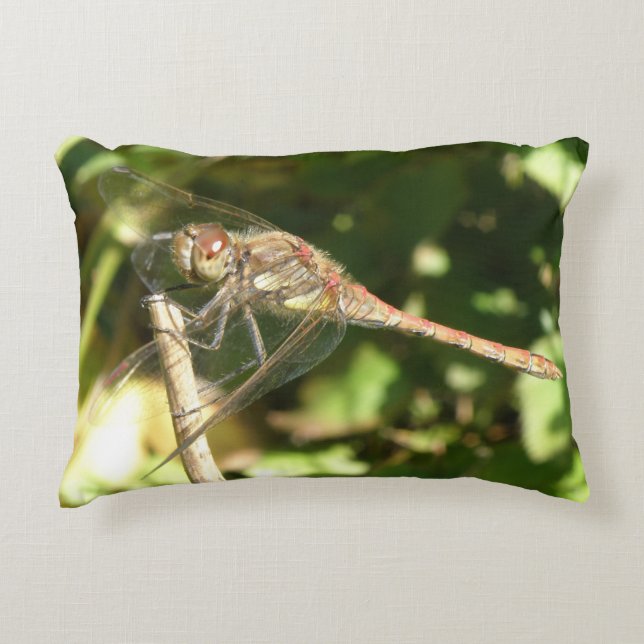Dragonfly on a Twig Pillow (Front)