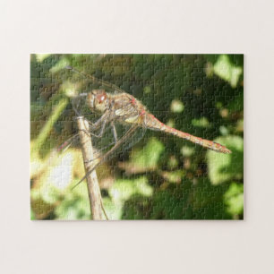 Dragonfly on a Twig Puzzle