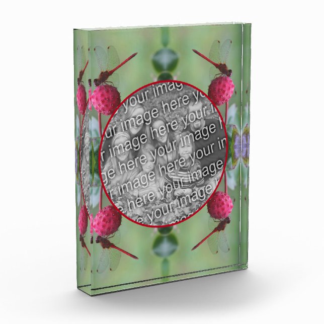 Dragonfly On Dogwood Fruit Create Your Own Photo Block (Left)