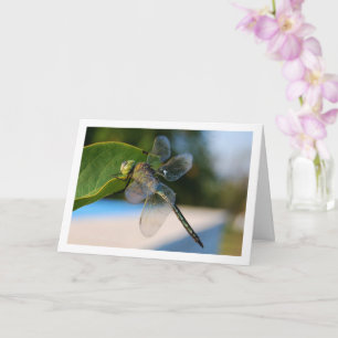 Dragonfly on Green Leaf Card