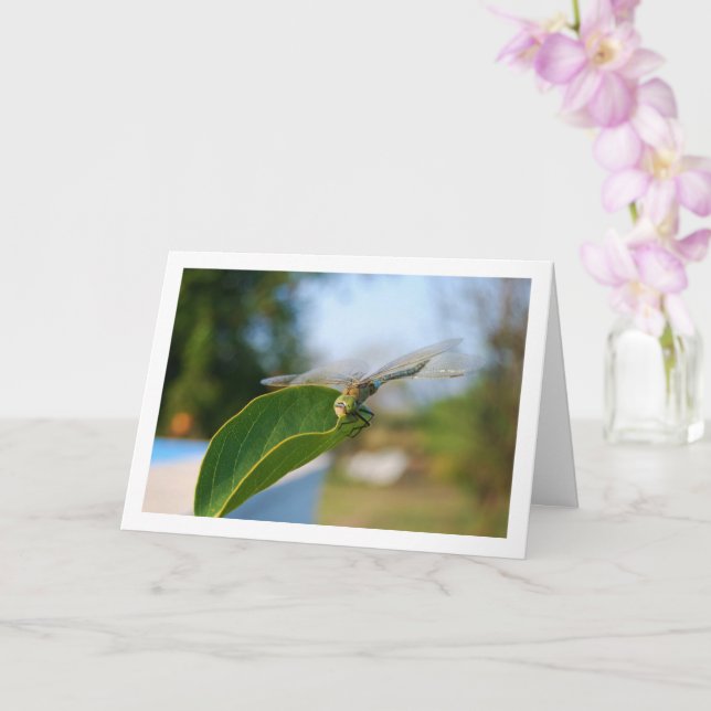 Dragonfly on Green Leaf Card (Orchid)