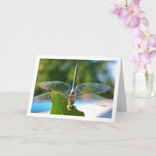 Dragonfly on Green Leaf Card (Orchid)