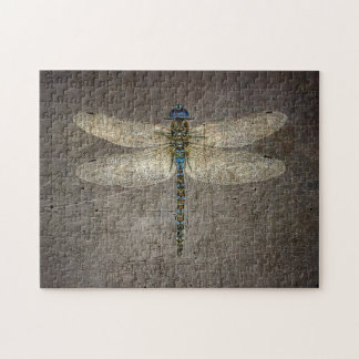Dragonfly on Grey Stone Backround Jigsaw Puzzle