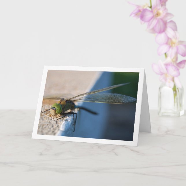 Dragonfly on Ledge Card (Orchid)