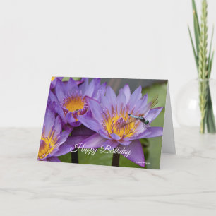 Dragonfly on Lily Birthday Card
