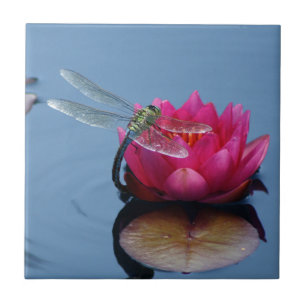 Dragonfly On Lotus Flower Tile