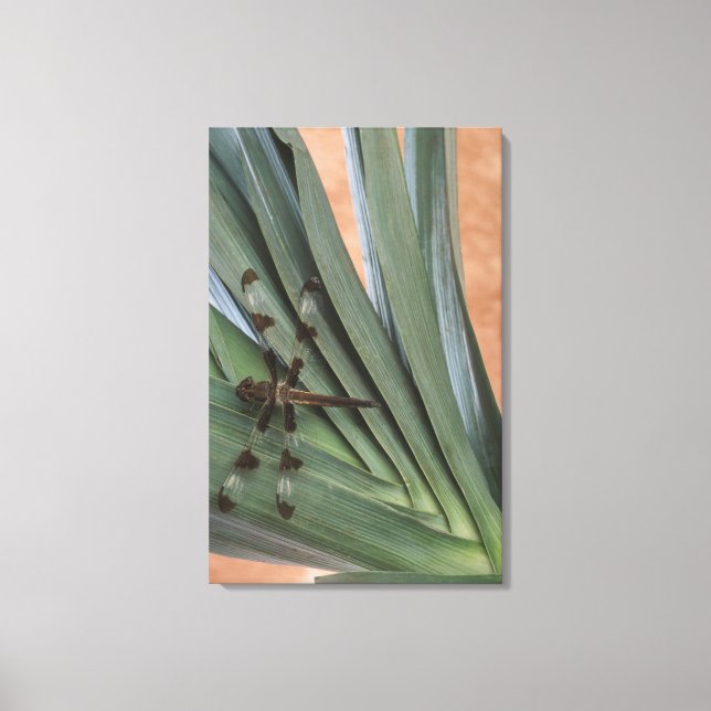 Dragonfly on plant canvas print (Front)