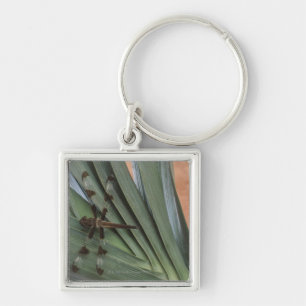 Dragonfly on plant key ring