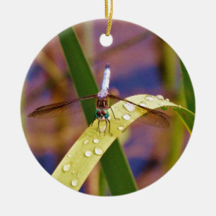 Dragonfly on raindrop leaf ceramic tree decoration