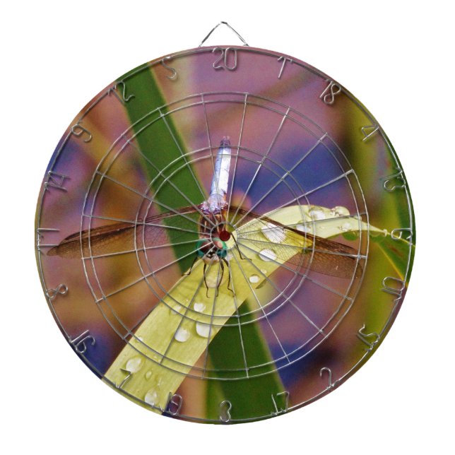 Dragonfly on raindrop leaf dartboard (Front)