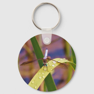 Dragonfly on raindrop leaf key ring