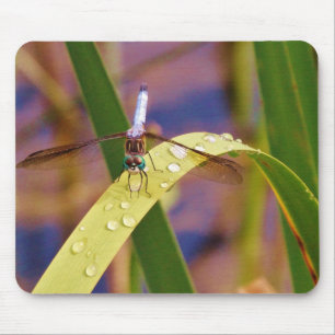 Dragonfly on raindrop leaf mouse mat