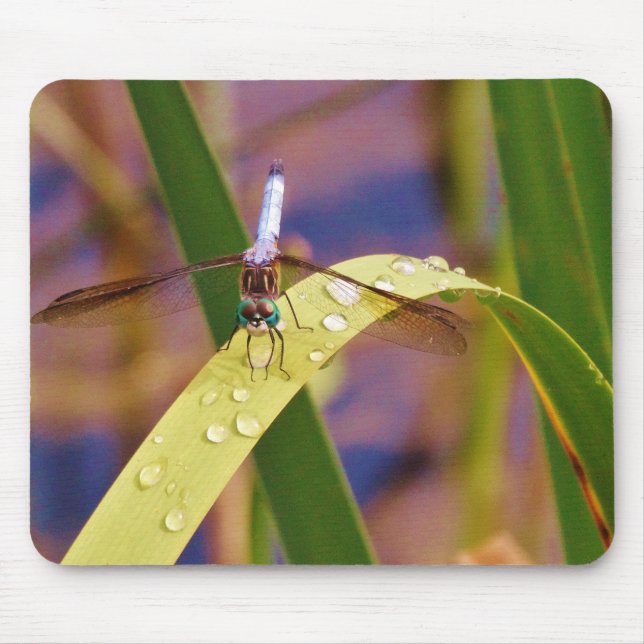 Dragonfly on raindrop leaf mouse mat (Front)