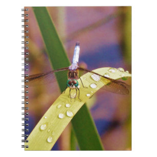 Dragonfly on raindrop leaf notebook