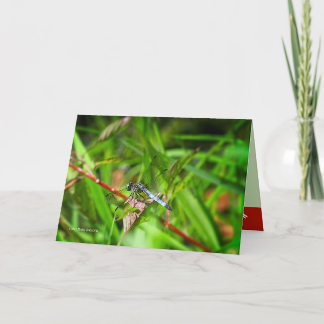 Dragonfly on red leaf card (Front)
