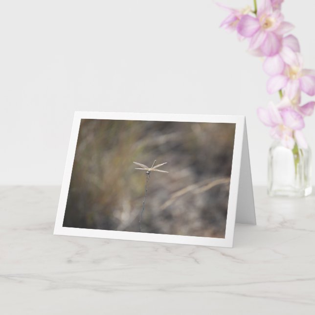 Dragonfly on Stalk Portrait Card (Orchid)