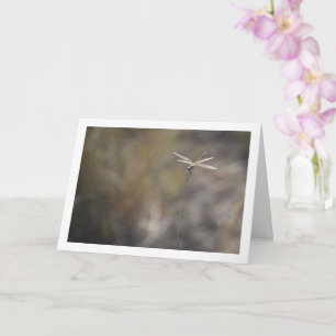 Dragonfly on Stalk Portrait Card