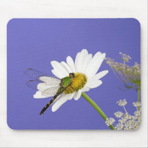 Dragonfly on White Daisy Mouse Mat