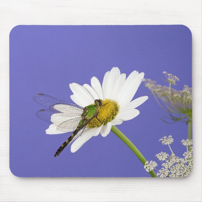 Dragonfly on White Daisy Mouse Mat (Front)