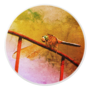 Dragonfly On Wire Fence Abstract Grunge  Ceramic Knob