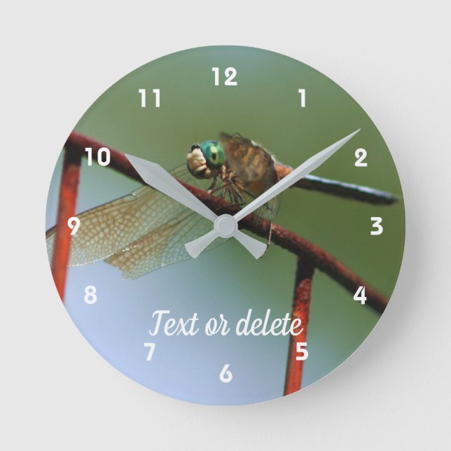 Dragonfly On Wire Fence Personalised Round Clock (Front)