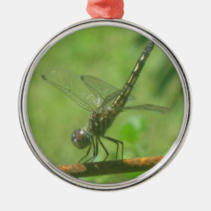 Dragonfly Ornament