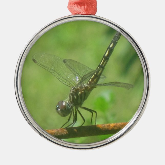 Dragonfly Ornament (Front)