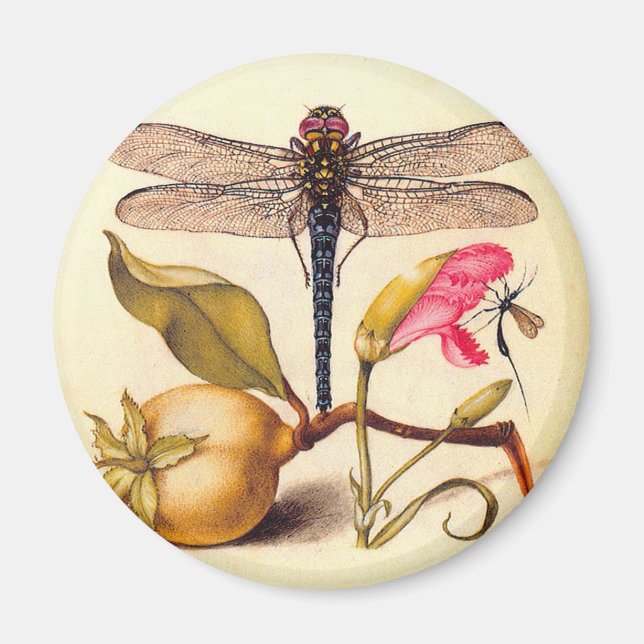 Dragonfly, Pear, Carnation, and Insect Magnet (Front)