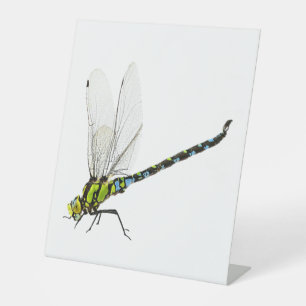 Dragonfly pedestal sign