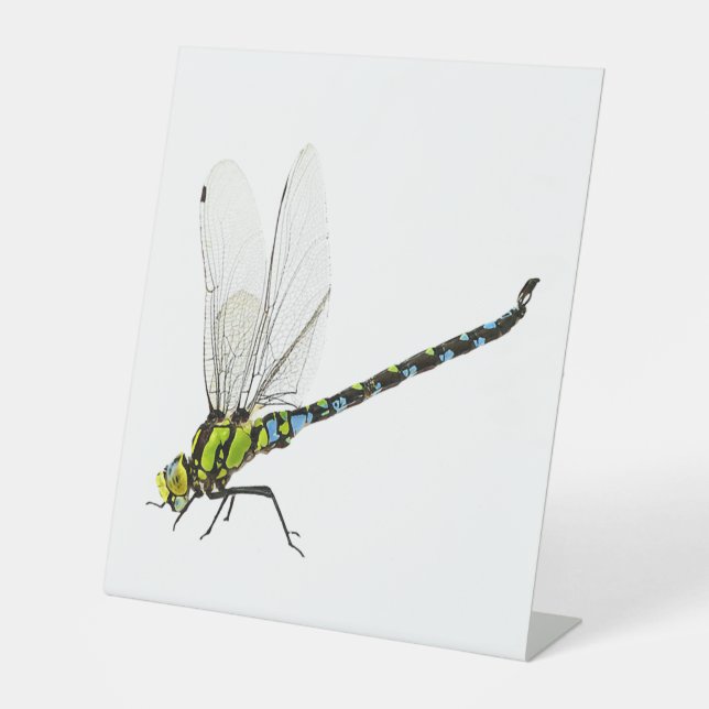 Dragonfly                          pedestal sign (Front)