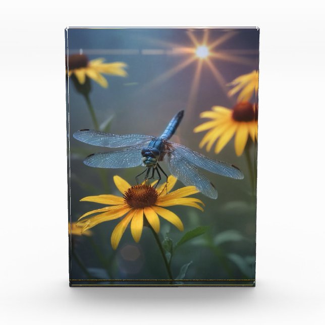 Dragonfly Photo Block (Front)