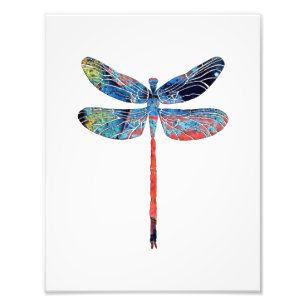 Dragonfly Photo Print