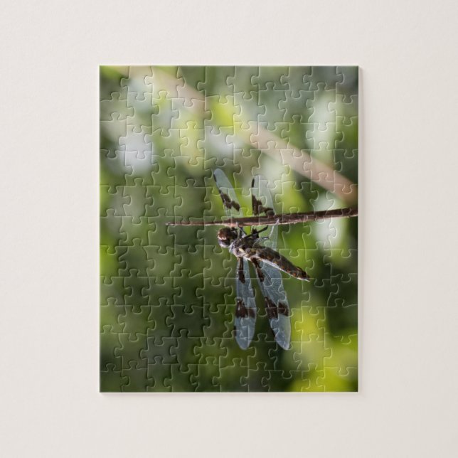 Dragonfly Photograph Puzzle (Vertical)