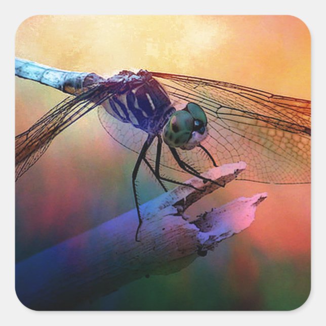 DRAGONFLY PINK AND GOLDEN DUSK.jpg Square Sticker (Front)