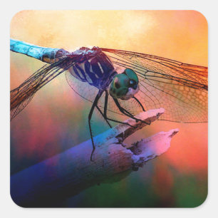 DRAGONFLY PINK AND GOLDEN DUSK.jpg Square Sticker