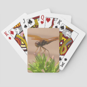 Dragonfly Playing Cards