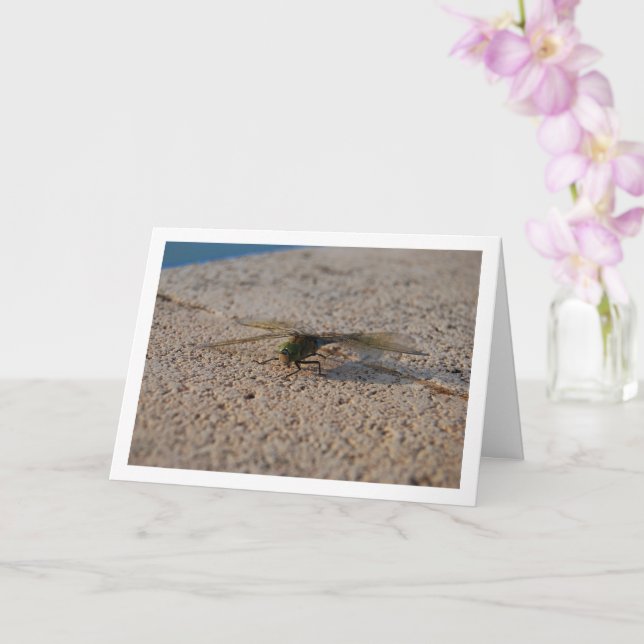 Dragonfly Portrait Card (Orchid)