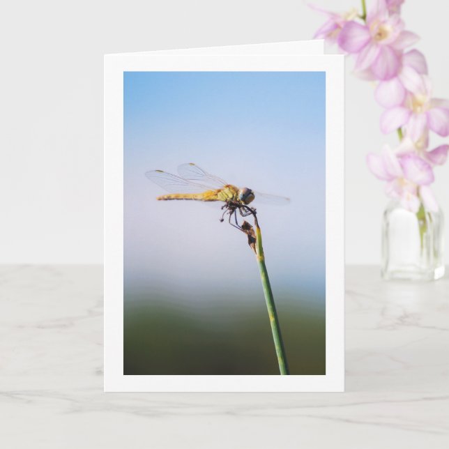 Dragonfly Portrait Card (Orchid)