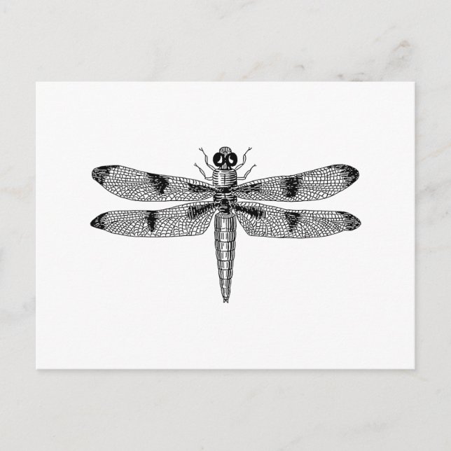 Dragonfly Postcard (Front)