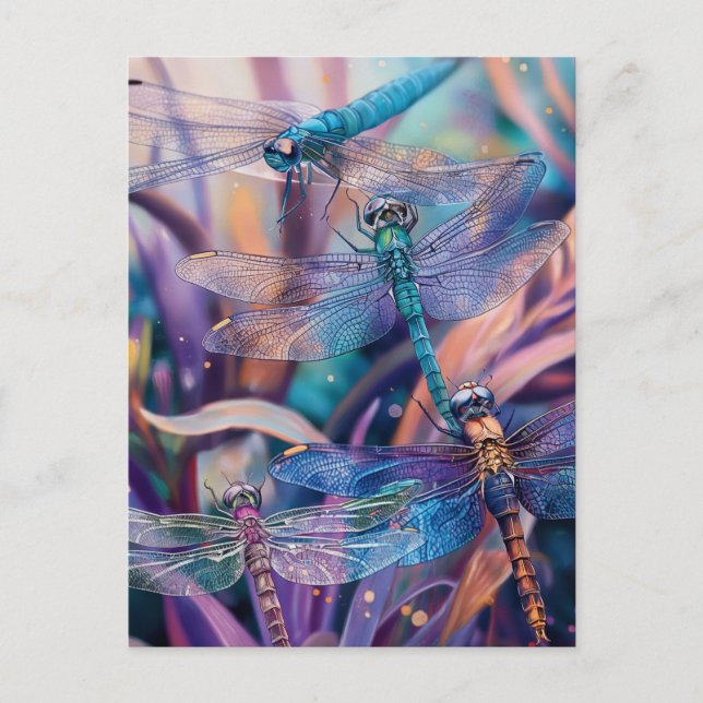 Dragonfly Postcard (Front)
