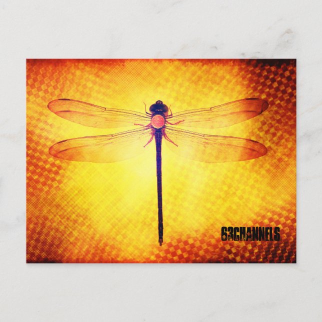 Dragonfly Postcard (Front)