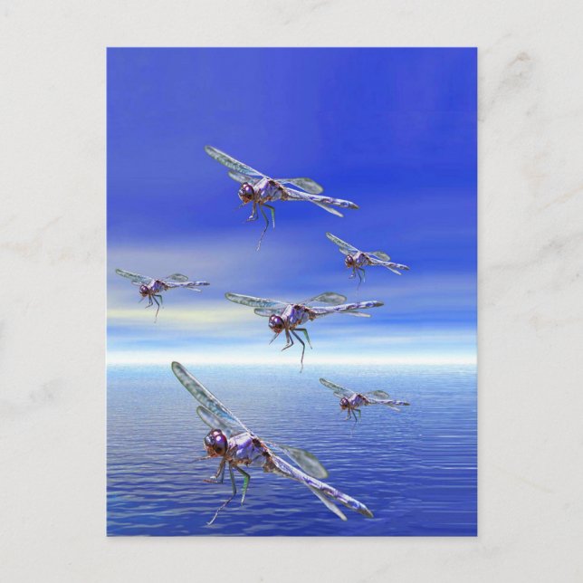Dragonfly Postcard (Front)