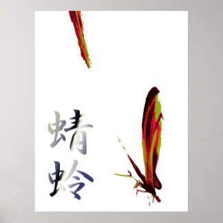 Dragonfly Poster