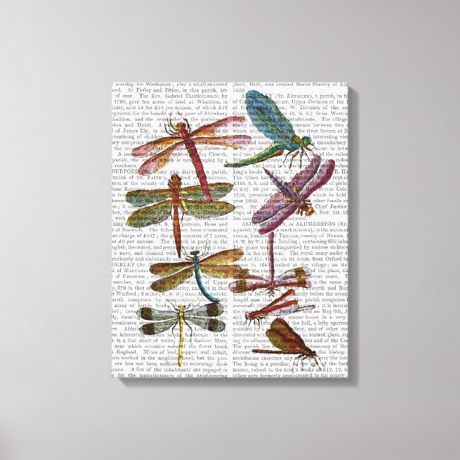 Dragonfly Print 4 (Front)