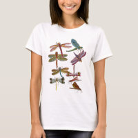 Dragonfly Print 4