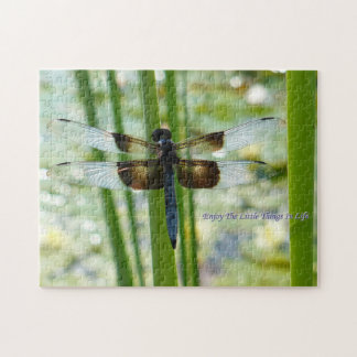 Dragonfly Puzzle